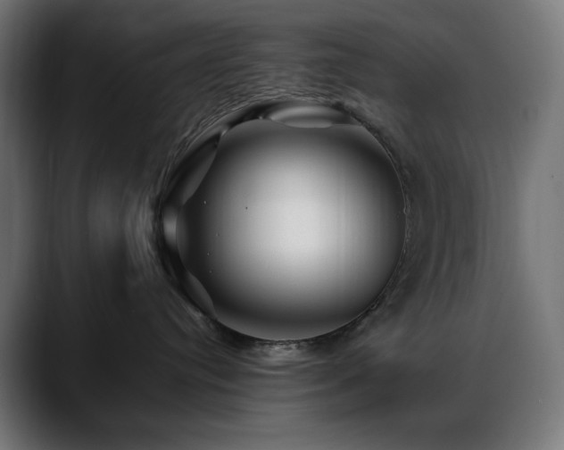 X0000088620384200705251246