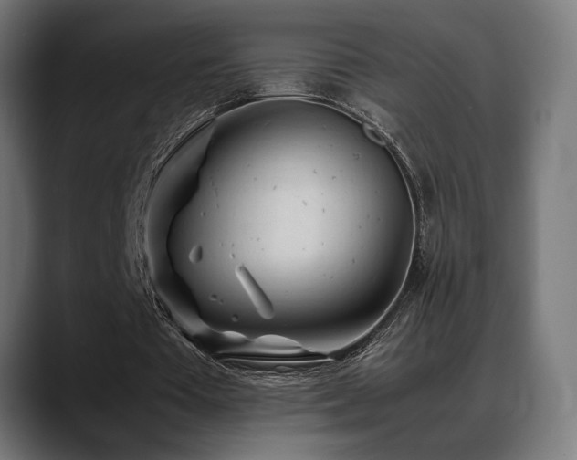 X0000088620385200705251246