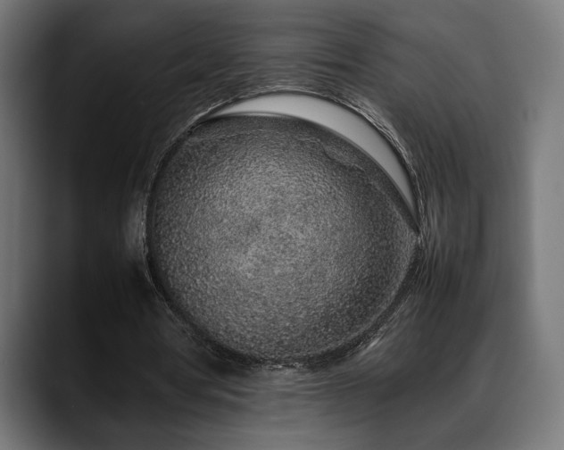 X0000088620386200705251246