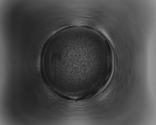 X0000088620387200705251246
