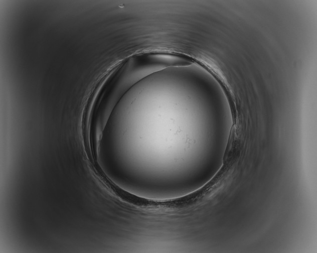X0000088620389200705251245