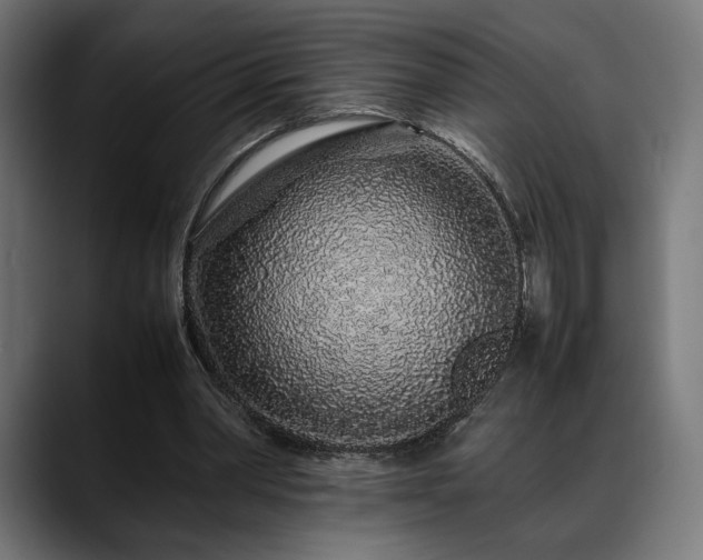 X0000088620390200705251245