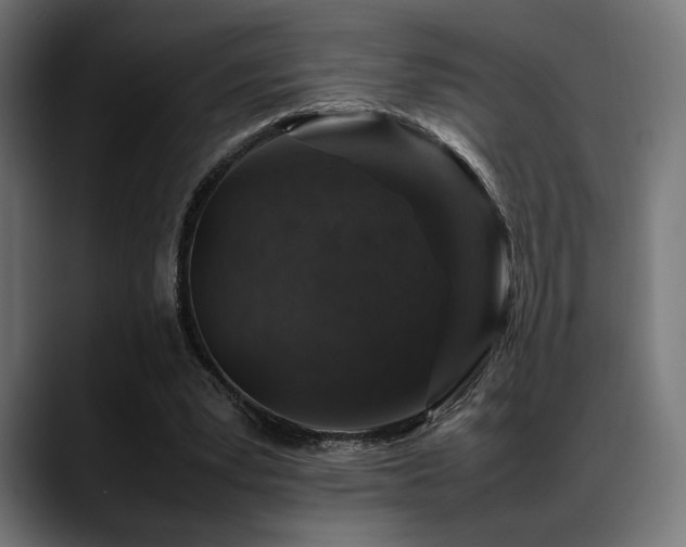 X0000088620391200705251245