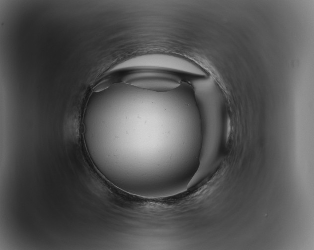 X0000088620393200705251245