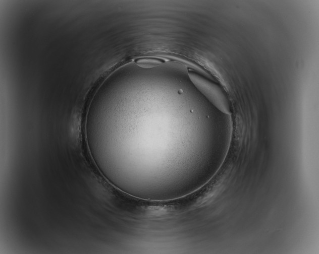 X0000088620394200705251245