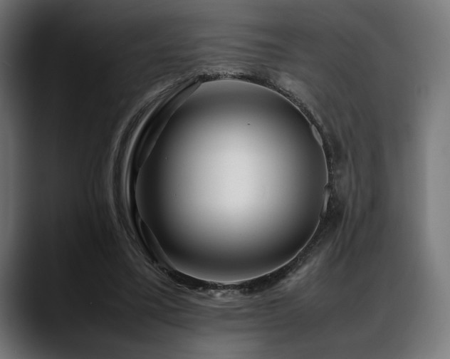X0000088620395200705251245