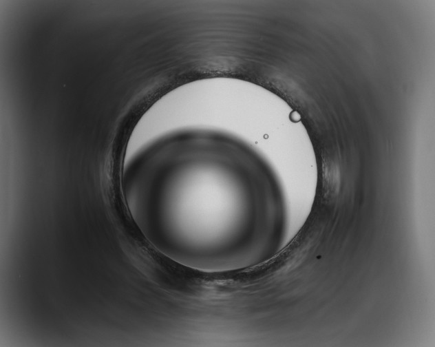 X0000088620396200705251245