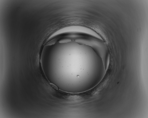 X0000088620397200705251245