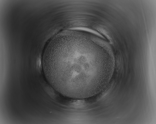 X0000088620398200705251245
