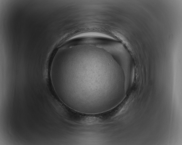 X0000088620399200705251245