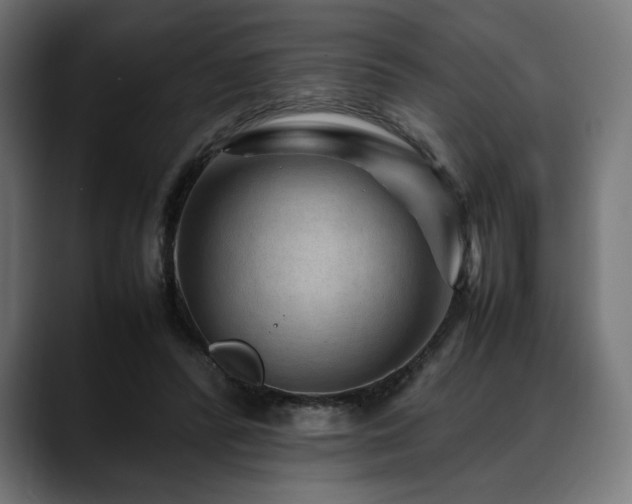 X0000088620400200705251245