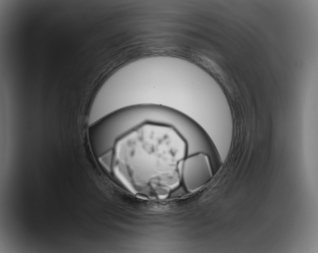 X0000088620405200705251245
