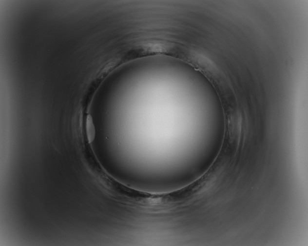X0000088620406200705251245