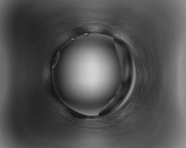 X0000088620407200705251245
