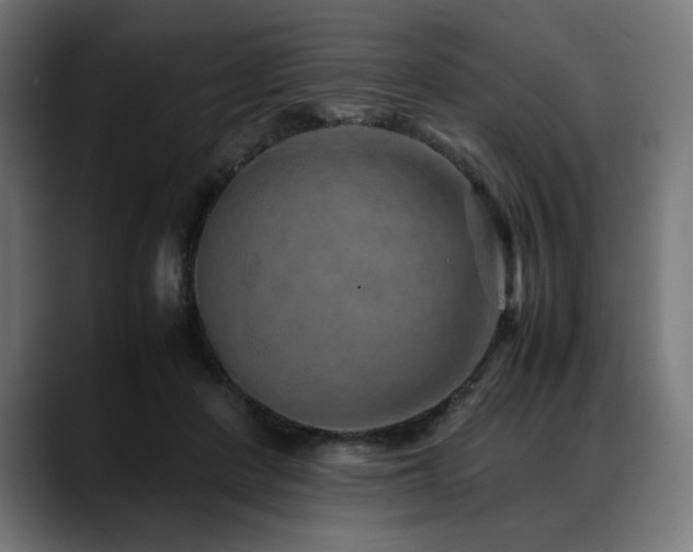 X0000088620408200705251245