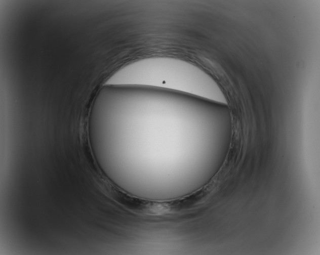 X0000088620409200705251245