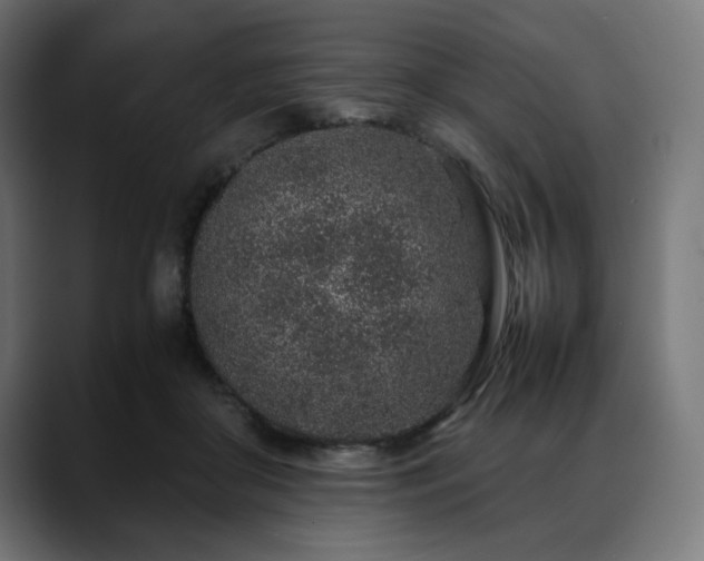 X0000088620410200705251245