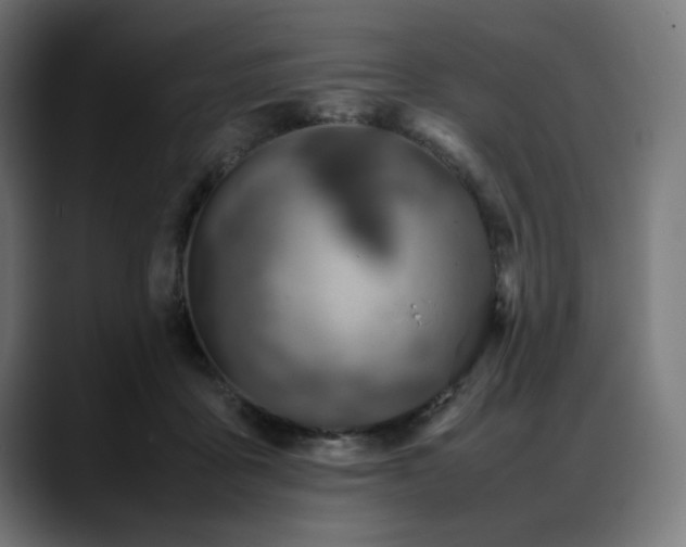 X0000088620411200705251245