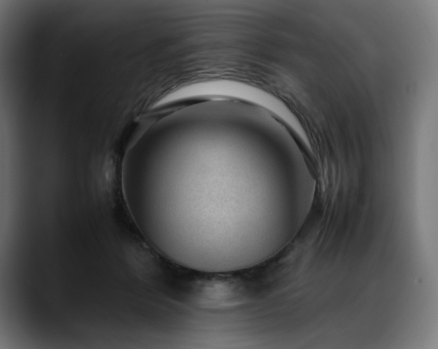 X0000088620412200705251245