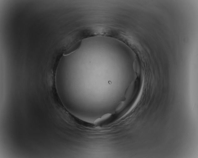 X0000088620413200705251245