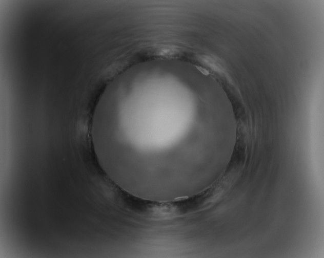 X0000088620415200705251245