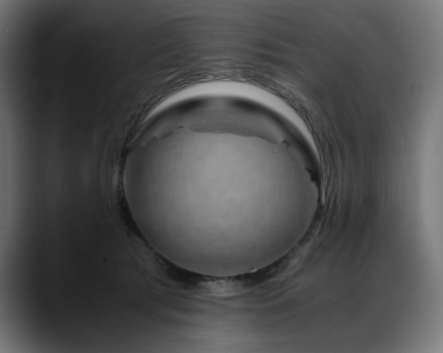 X0000088620417200705251245