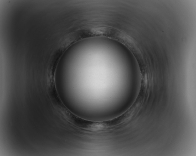 X0000088620418200705251245