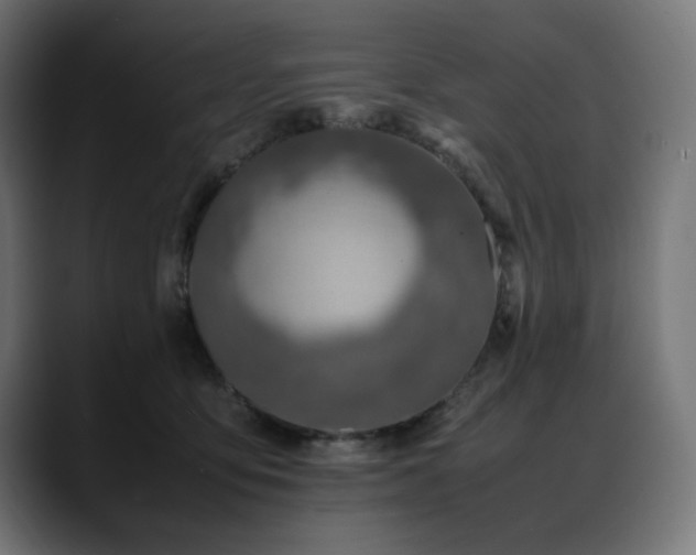X0000088620419200705251245