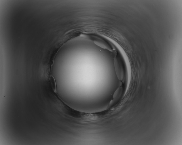 X0000088620421200705251245