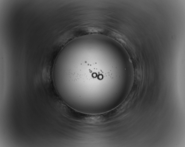 X0000088620422200705251245