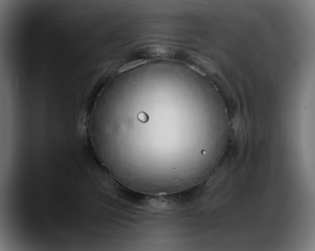 X0000088620423200705251245