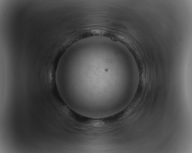 X0000088620424200705251245