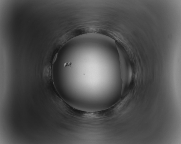 X0000088620425200705251245