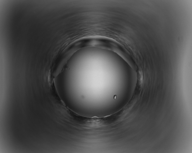 X0000088620428200705251245