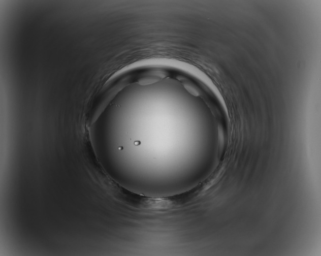 X0000088620429200705251245
