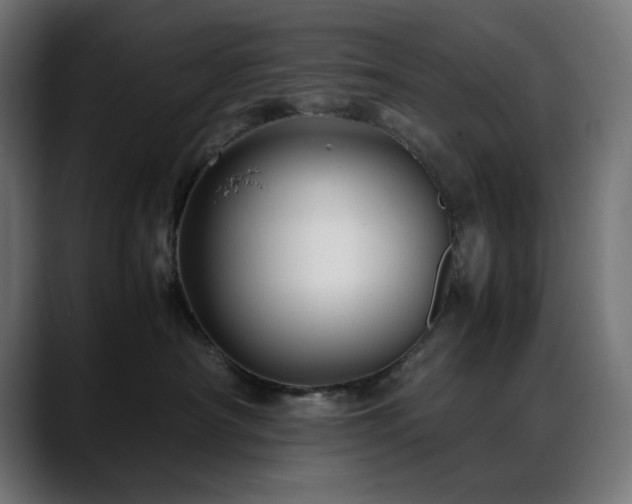 X0000088620430200705251245