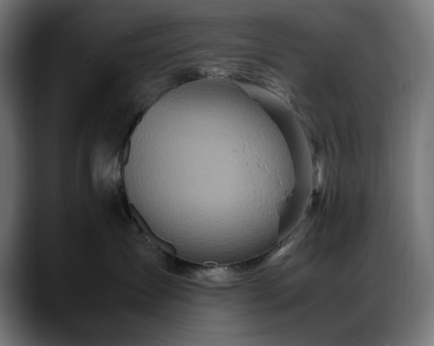 X0000088620431200705251245