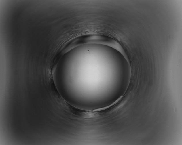 X0000088620432200705251245