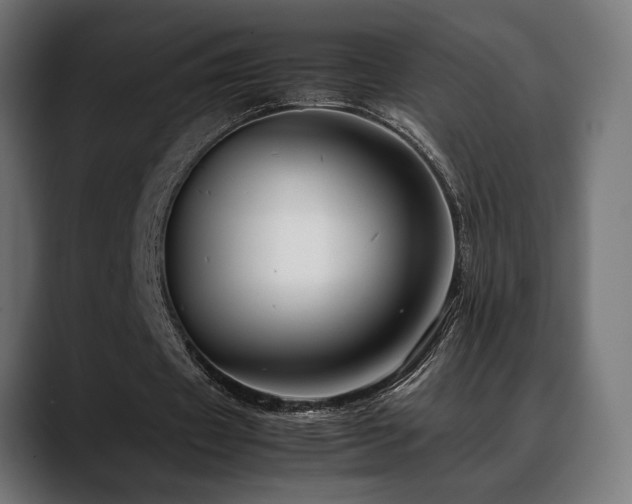 X0000088620433200705251244