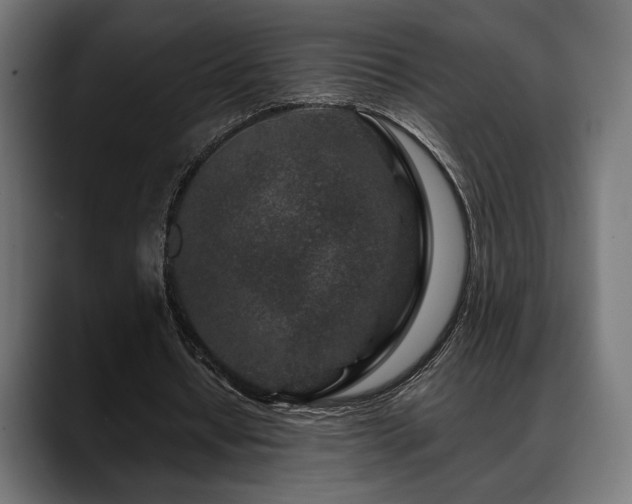 X0000088620434200705251244