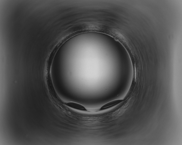 X0000088620435200705251244