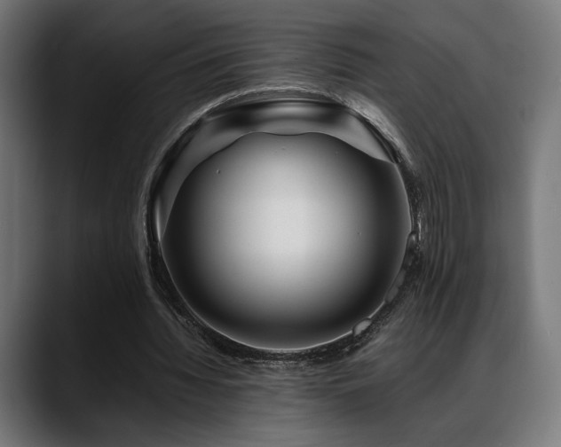X0000088620436200705251244