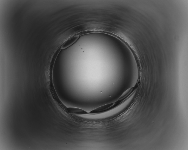 X0000088620437200705251244