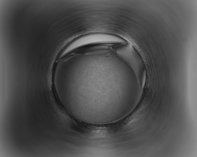 X0000088620438200705251244