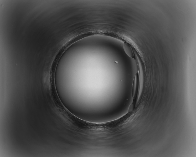 X0000088620439200705251244