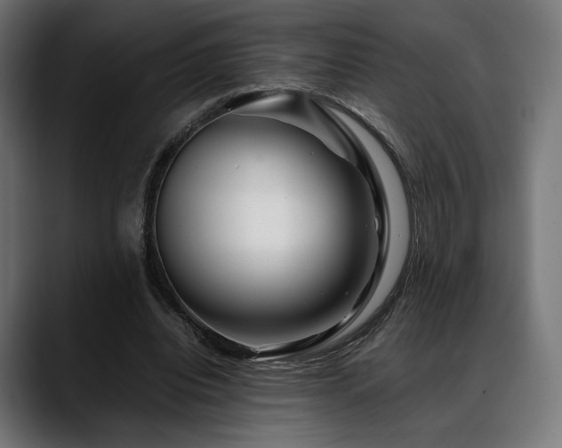 X0000088620440200705251244