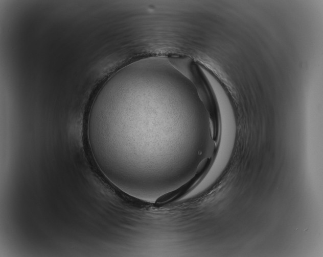 X0000088620442200705251244