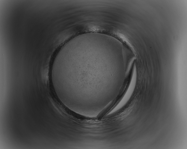 X0000088620443200705251244