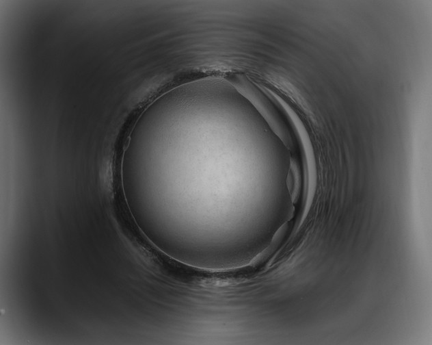 X0000088620444200705251244