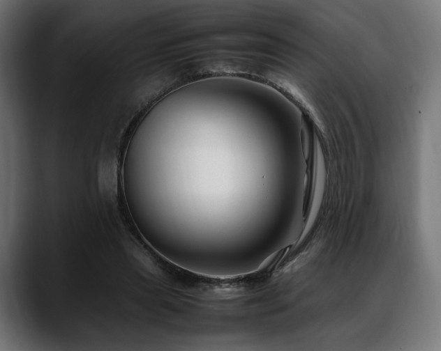 X0000088620445200705251244